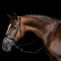 Redini Imperial Riding in cuoio liscio Nero