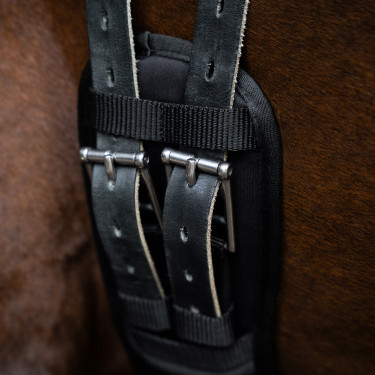 Cinghia da dressage Imperial Riding in memory foam Nero