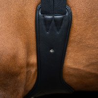 Cinghia da salto anatomica Imperial Riding con fibbie a rullo Nero