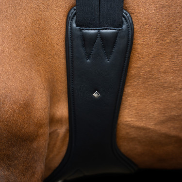 Cinghia da salto anatomica Imperial Riding con fibbie a rullo Nero