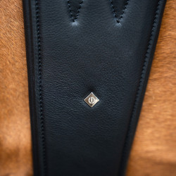 Cinghia da salto anatomica Imperial Riding con fibbie a rullo Nero