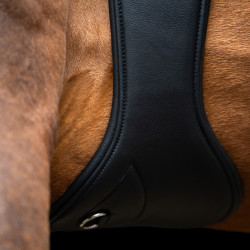 Cinghia da salto anatomica Imperial Riding con fibbie a rullo Nero