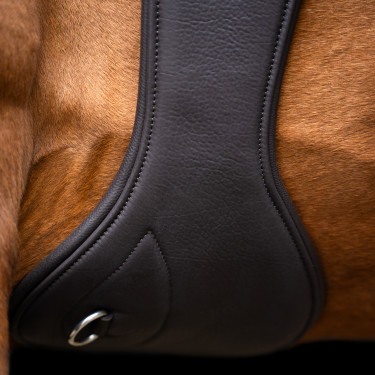 Cinghia da salto anatomica Imperial Riding con fibbie a rullo Marrone scuro Cinghia da salto anatomica Imperial Riding con fibbie a rullo Marrone scuro