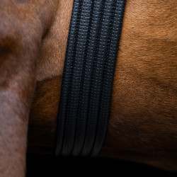 Sottopancia da salto Imperial Riding Basic Nero