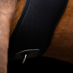 Sottopancia da salto Imperial Riding Basic anatomico in neoprene Nero