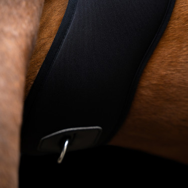 Sottopancia da salto Imperial Riding Basic anatomico in neoprene Nero