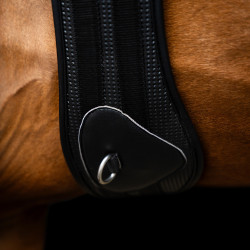 Sottopancia da salto Imperial Riding Basic anatomico e traspirante Nero