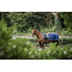 Coperta posteriore Horseware Rambo in pile impermeabile Marino / temporale / grigio argento Blu marino
