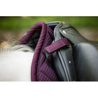 Sottosella da dressage Horseware AA Performance Primatova Viola