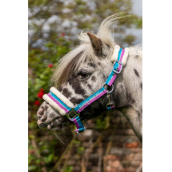 Cavezzone Funny Horses HKM Viola / acqua / argento Cavezzone Funny Horses HKM Viola / acqua / argento