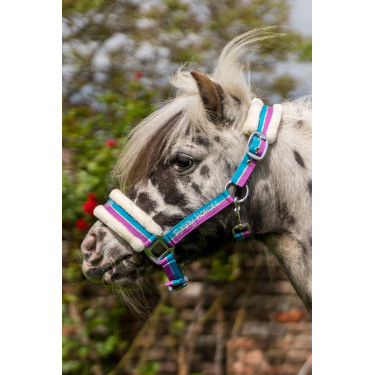 Cavezzone Funny Horses HKM Viola / acqua / argento Cavezzone Funny Horses HKM Viola / acqua / argento