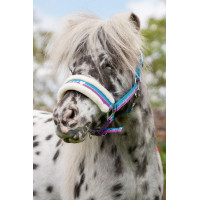 Cavezzone Funny Horses HKM Blu scuro, blu, rosa scuro Multicolore