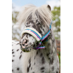 Cavezzone Funny Horses HKM Viola / acqua / argento Cavezzone Funny Horses HKM Viola / acqua / argento