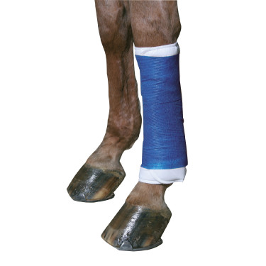 Benda autoaderente 10 cm EquiLASTIC Kerbl Blu