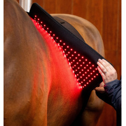 Tappetino terapeutico a luce rossa LED Horseware Nero / nero Tappetino terapeutico a luce rossa LED Horseware Nero / nero