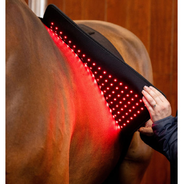 Tappetino terapeutico a luce rossa LED Horseware Nero / nero Tappetino terapeutico a luce rossa LED Horseware Nero / nero