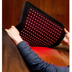 Tappetino terapeutico a luce rossa LED Horseware Nero / nero Tappetino terapeutico a luce rossa LED Horseware Nero / nero