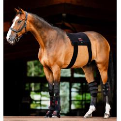 Tappetino terapeutico a luce rossa LED Horseware Nero / nero Tappetino terapeutico a luce rossa LED Horseware Nero / nero