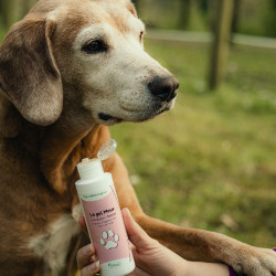 Gel Mouv Nutragile Cani e gatti
