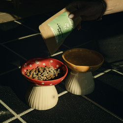 Argilla alimentare + Nutragile