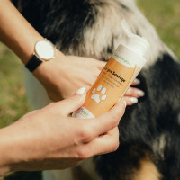 Gel lenitivo Nutragile Cane e gatto