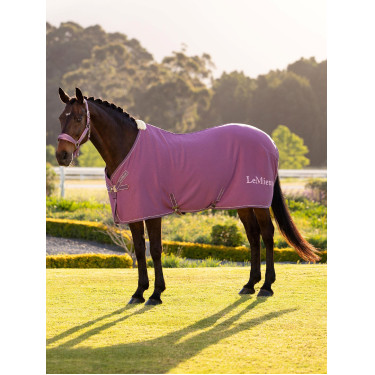 Camicia asciugante in bambù Kudos LeMieux Malva Viola
