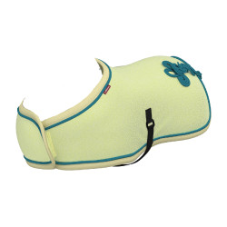 Coperta da concorso per giocattolo Mini Pony LeMieux Distintivo Verde Coperta da concorso per giocattolo Mini Pony LeMieux Distintivo Verde