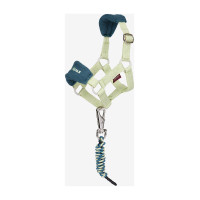 Capestro alla moda per giocattolo Mini Pony LeMieux Azzurro Blu Capestro alla moda per giocattolo Mini Pony LeMieux Azzurro Blu