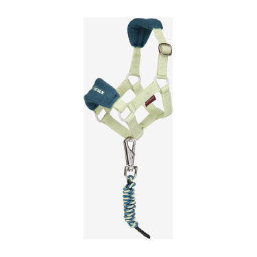 Capestro alla moda per giocattolo Mini Pony LeMieux Distintivo Verde