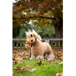 Mini Pony LeMieux Limone Nuvoloso