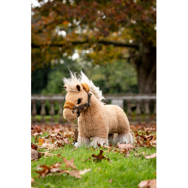 Mini Pony LeMieux Limone Nuvoloso
