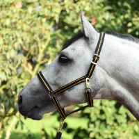 Capezza Bucas Dublin Nero / oro