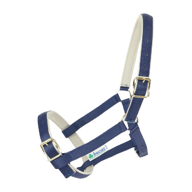 Capezza Bucas Dublin Blu navy / argento