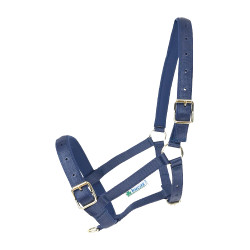Capezza Bucas Dublin Blu navy / blu navy Blu marino