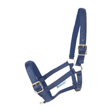 Capezza Bucas Dublin Blu navy / blu navy Blu marino