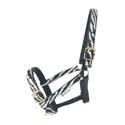 Capezza Bucas Dublin Zebra / nero Motivi