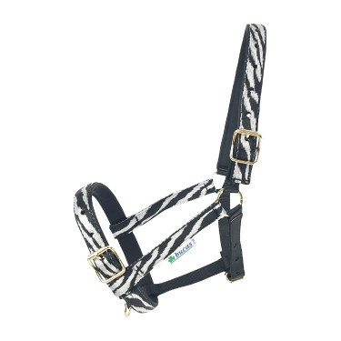 Capezza Bucas Dublin Zebra / nero Motivi