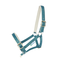 Capezza Bucas Dublin Atlantico / argento Blu