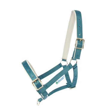Capezza Bucas Dublin Atlantico / argento Blu