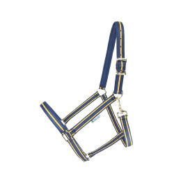 Capezza Bucas Dublin Marino / oro Blu