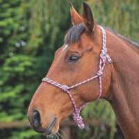 Capestro etologico Shires Rosa / nero