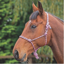 Capestro etologico Shires Rosa / nero Capestro etologico Shires Rosa / nero