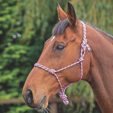 Capestro etologico Shires Rosa / nero