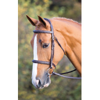 Bridon Fairford Salisbury Shires Noisette