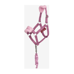 Capestro e lunghina Vogue Hobby Horse LeMieux Malva Viola Capestro e lunghina Vogue Hobby Horse LeMieux Malva Viola