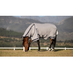 Camicie antimosche LeMieux Kudos Gladiator Grigio