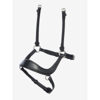 Capezzina LeMieux alla francese Arika Nero / argento Capezzina LeMieux alla francese Arika Nero / argento