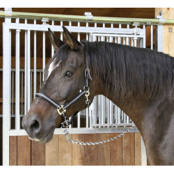 Capestro Mustang Covalliero Capestro Mustang Covalliero