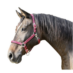 Capestro Mustang Covalliero Capestro Mustang Covalliero