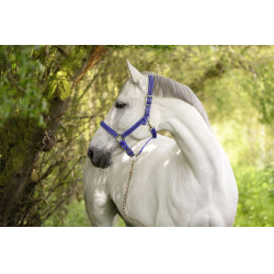 Capestro Mustang Covalliero Capestro Mustang Covalliero
